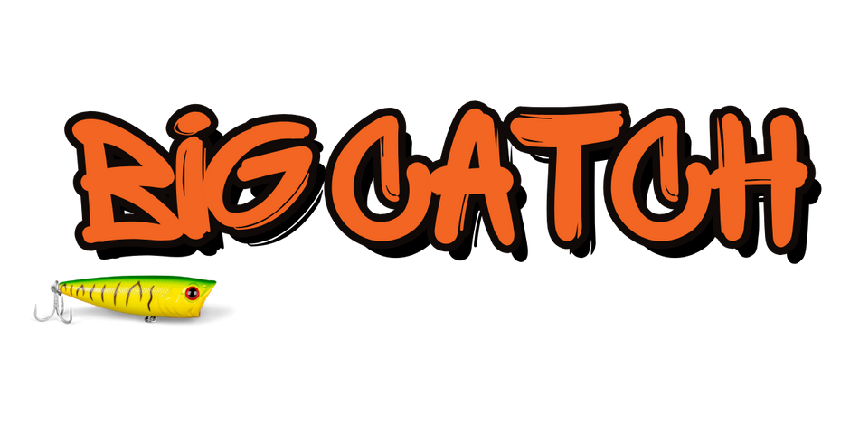 2_c0b23a7e-5b25-48aa-89f9-b78699d21ec3